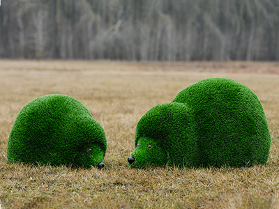 Топиари композиция Ёжики отдыхают - газон Deluxe