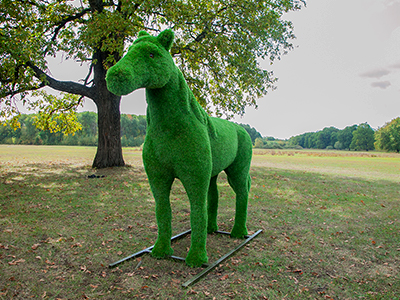 Топиари Конь, беговой - газон Premium